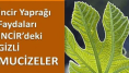 Şeker hastalığı ile kalp krizi riskini azaltan efsane bir ürün.. Doğadaki doğal ve en güçlü insülin!