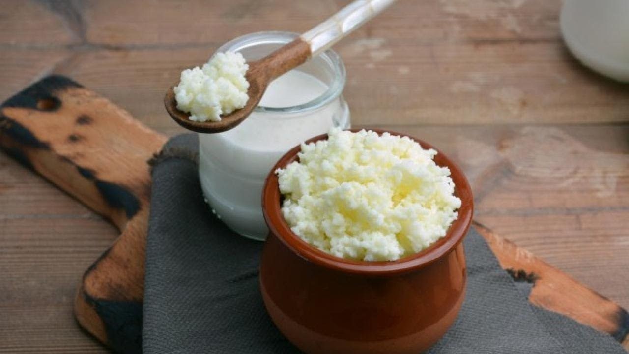 Sağlık Mucizesi,  Bağışıklık Kuvvetlendirici: Evde Kefir Mayası Nasıl Yapılır? 1