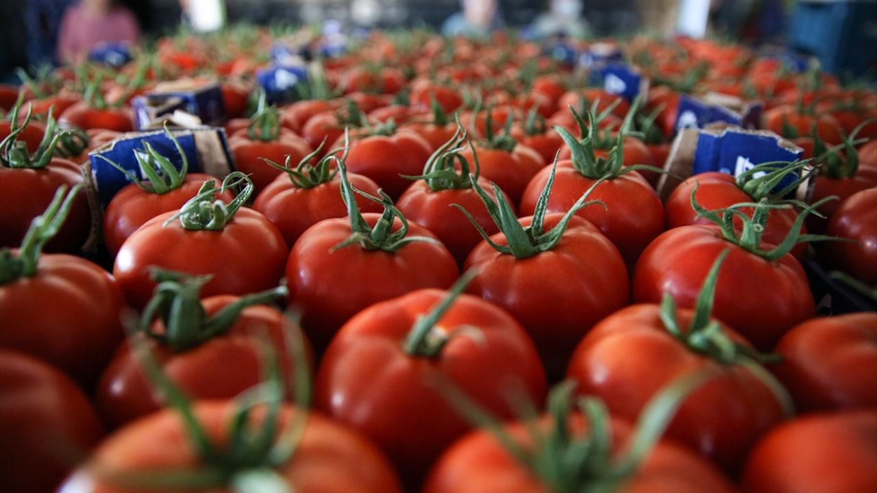 Hücreleri Yenileyerek Gençleştiren Formül Bulundu! Doğal Yollarla Masrafsız Sahip Olunabilir! 4