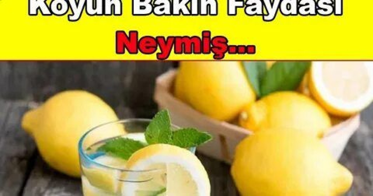 Uyurken Yanınıza Limon Koymanın ve Limon Aroması Kullanmanın Faydaları 2