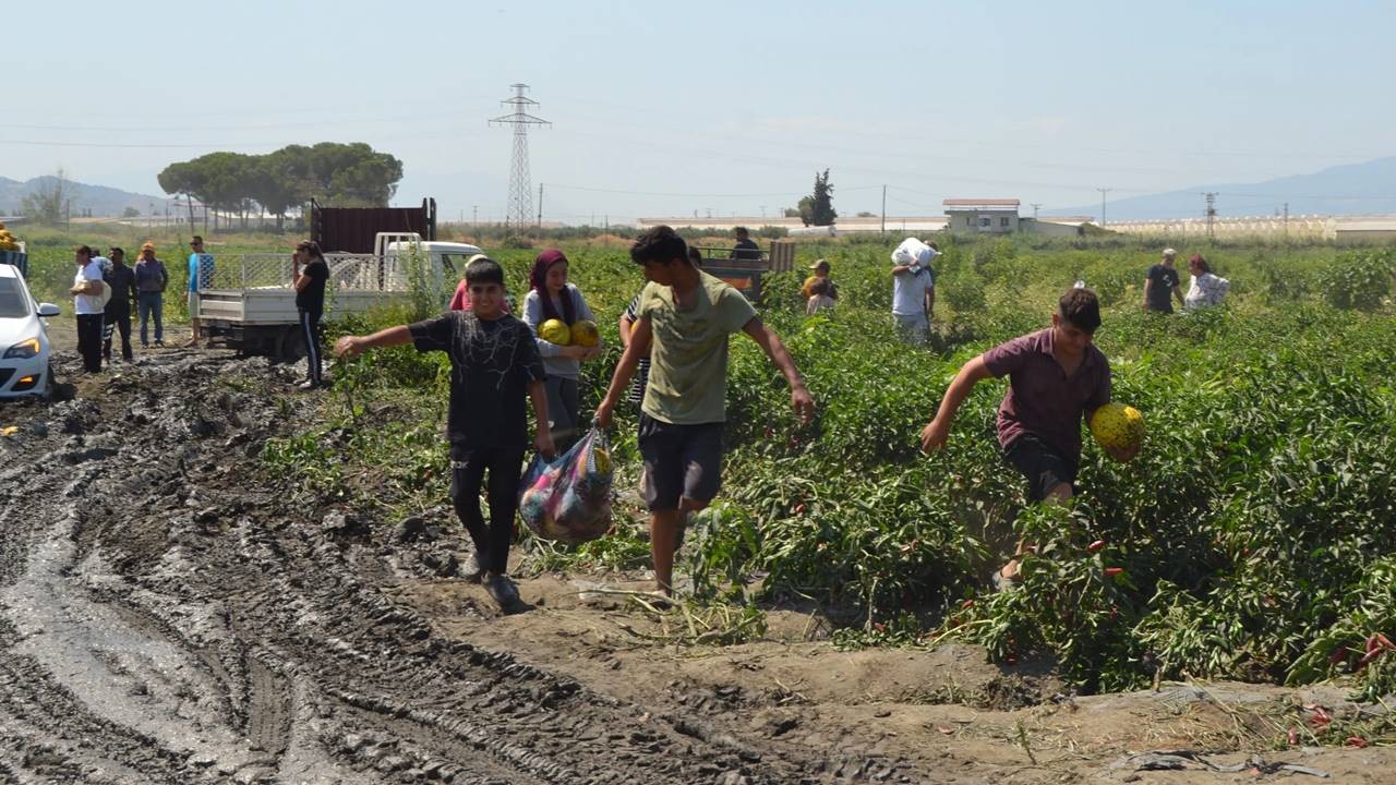 600 Ton Kavun ve Karpuzu Ücretsiz Dağıttılar! Manisa Haberleri