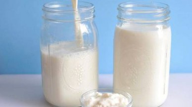 Sağlık Mucizesi,  Bağışıklık Kuvvetlendirici: Evde Kefir Mayası Nasıl Yapılır?