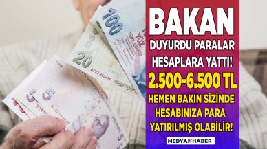 Bana yatırılmaz demeyin hemen e-Devlet ve PTT'den kontrol edin Bakan Yanık duyurdu milyonlarca kişinin hesabına sosyal yardım destek ödemeleri yatırıldı