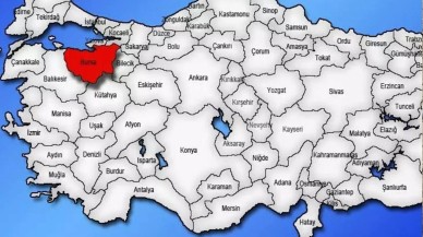 Bursa'daki korkunç manzarayı gören küçük dilini yutuyor: Gizemli ölümler artıyor! Durum hayra alâmet değil