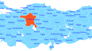 Korkutan istila resmen başladı! Gümüşhane ve Ağrı'nın ardından şimdi de Ankara diken üstünde! Hayvan değil canavar