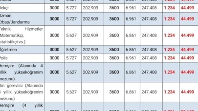 Polis,  imam,  hemşire,  emekli maaşlarına zam! 3600 Ek Gösterge kimleri kapsıyor? Neler değişti ne kadar zam geldi?