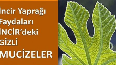 Şeker hastalığı ile kalp krizi riskini azaltan efsane bir ürün.. Doğadaki doğal ve en güçlü insülin!