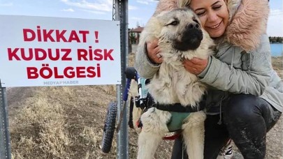 Şanlıurfa'dan Kuduz Köpekler Kaçırılıp Ankara'ya Getirildi! Köpek Velisi Gözaltına Alındı